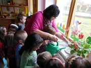 Pozorujeme jak klíčí a rostou semínka